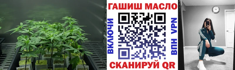 ТГК Wax Славск
