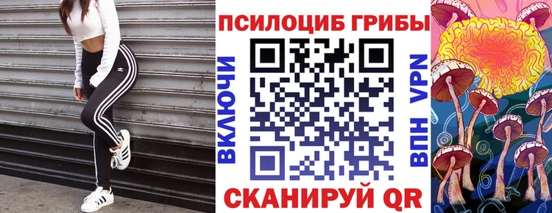 где купить наркоту  Славск  Галлюциногенные грибы ЛСД 